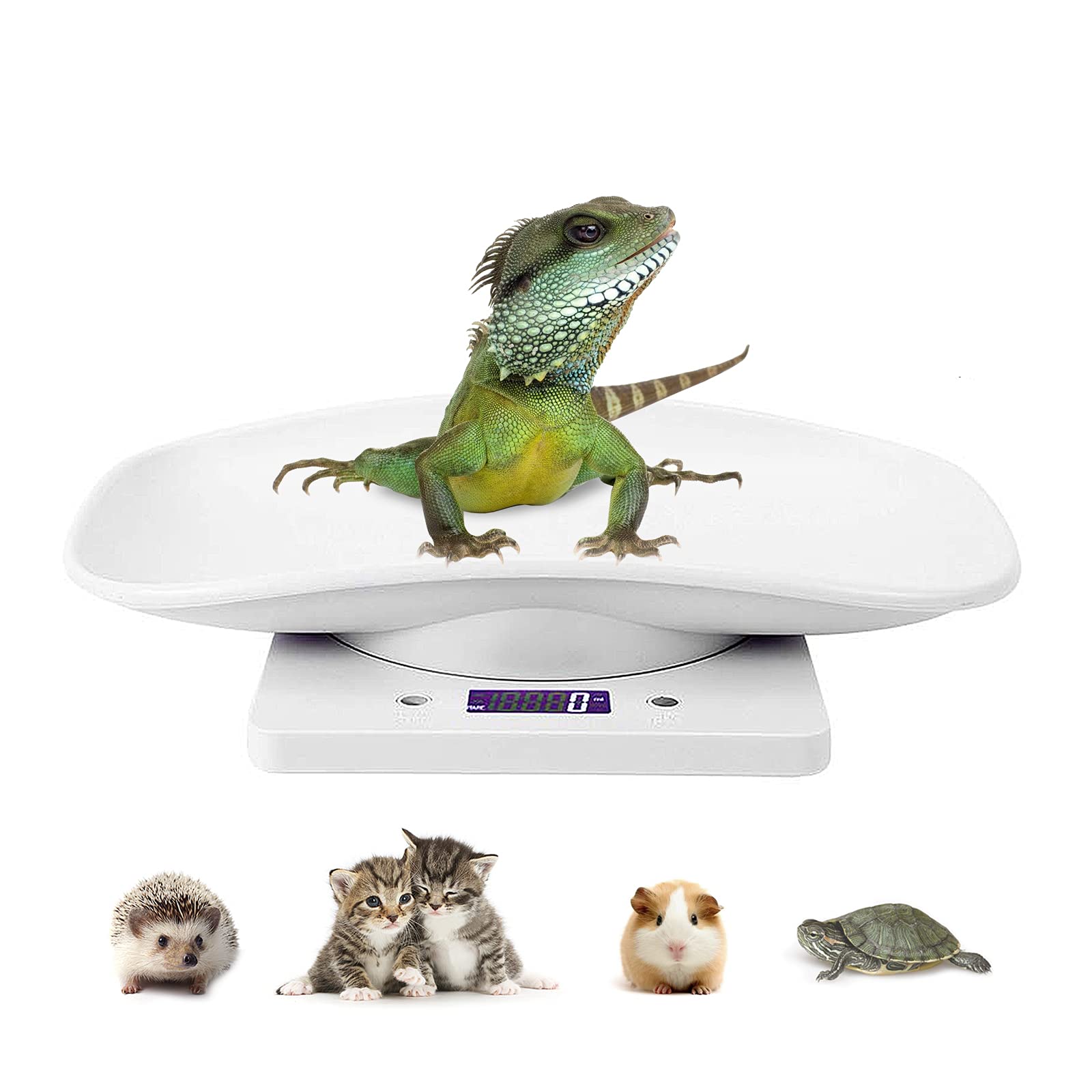 Balanza digital DWSFADA para mascotas pequeñas con lectura precisa en gramos