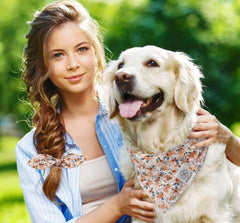 Bandana ajustable de E-Clover para cuello canino, cómodo y adaptable