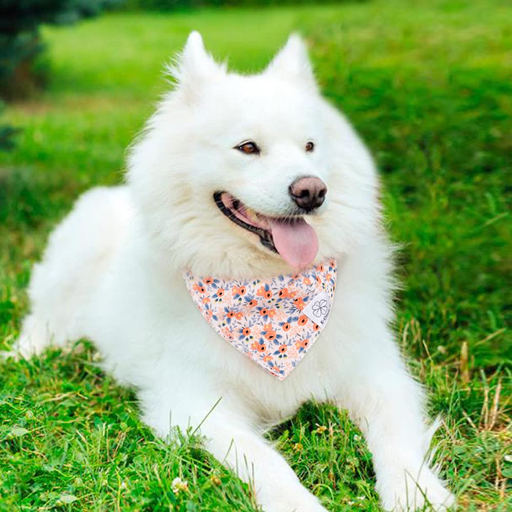 Bandana suave lavable a máquina con cuidado en frío