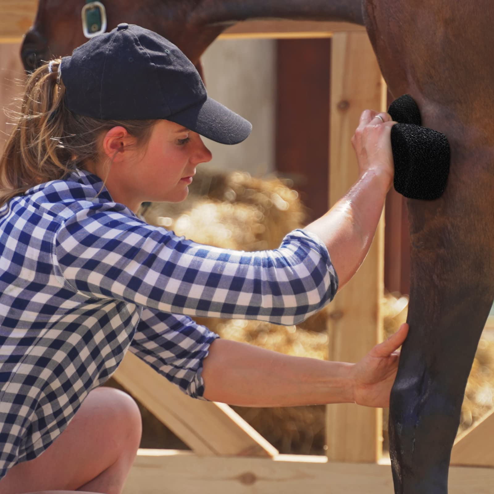 Esponjas Eaasty para caballo, empaque al vacío para almacenamiento compacto.
