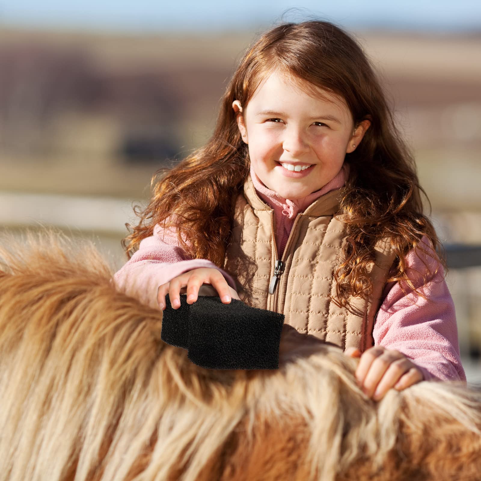 Esponja Eaasty para caballo, limpieza eficaz de polvo y suciedad tras la monta.
