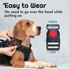 Arnés Eagloo para perros grandes con 4 correas, ajuste personalizado