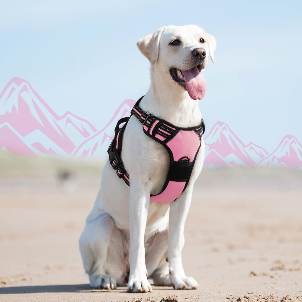 Ideal para caminatas diarias con perros grandes.