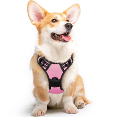 Arnés Eagloo para perro mediano con puesta rápida para paseos.