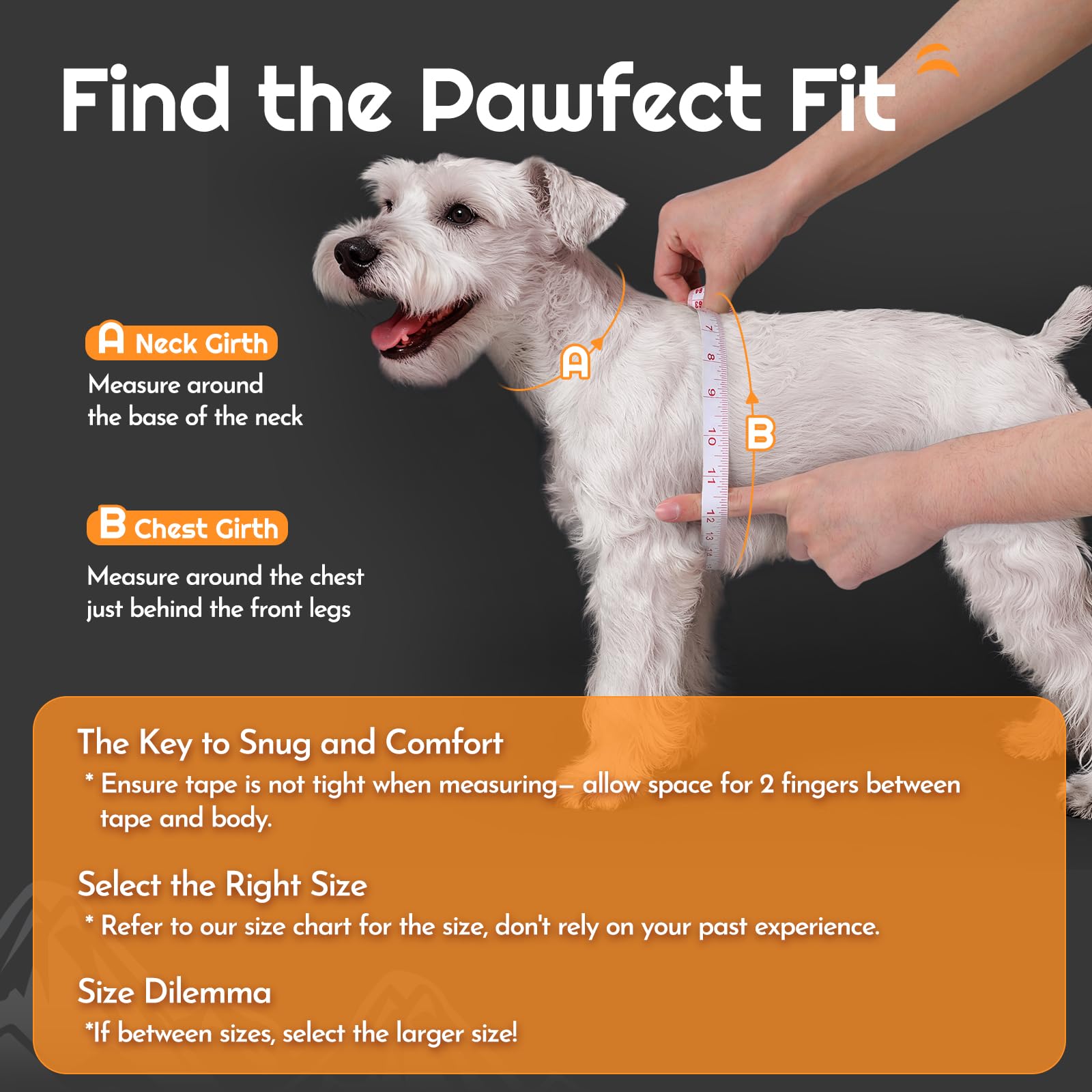 Correa Eagloo de 5.1 pies para perro pequeño con clip anti-enredo.