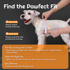 Correa Eagloo de 5.1 pies para perro pequeño con clip anti-enredo.