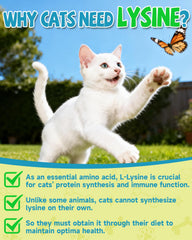 Frasco de gotas L-Lisina de Eagou Diary para gatos, uso diario y dosis sencilla.