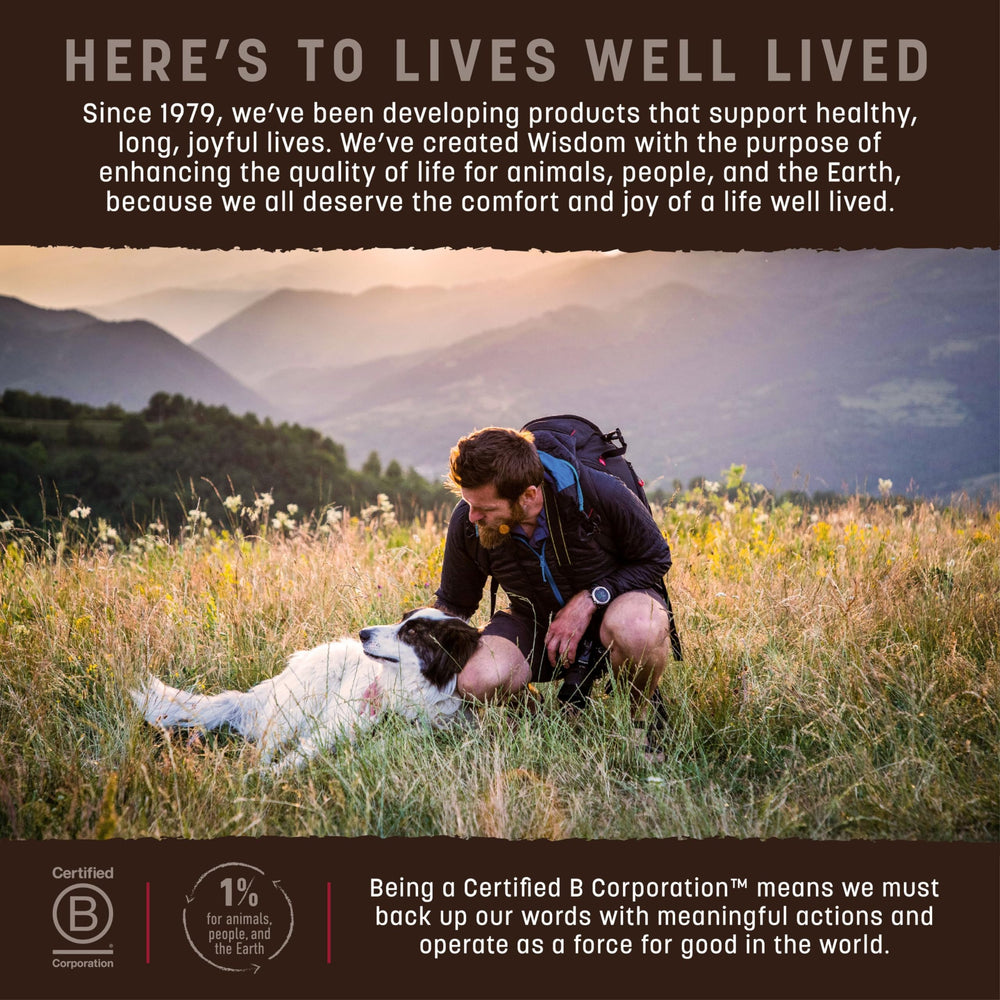 Earth Animal Wisdom bolsa de 8 lb, presentación práctica para familias caninas