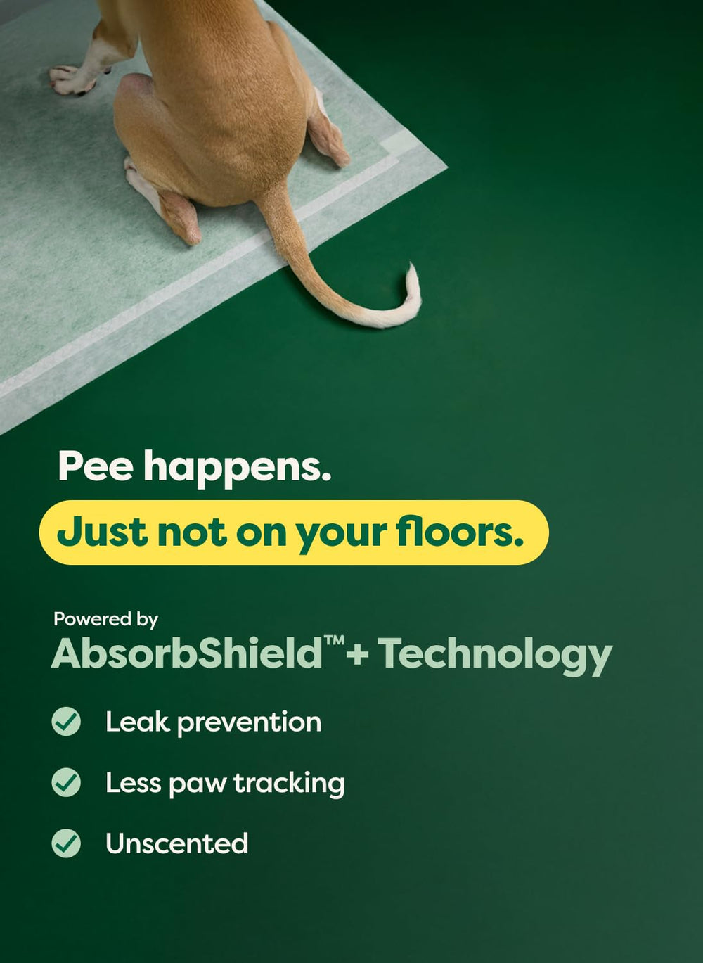 Earth Rated Puppy Pads con atrayente incorporado para entrenamiento