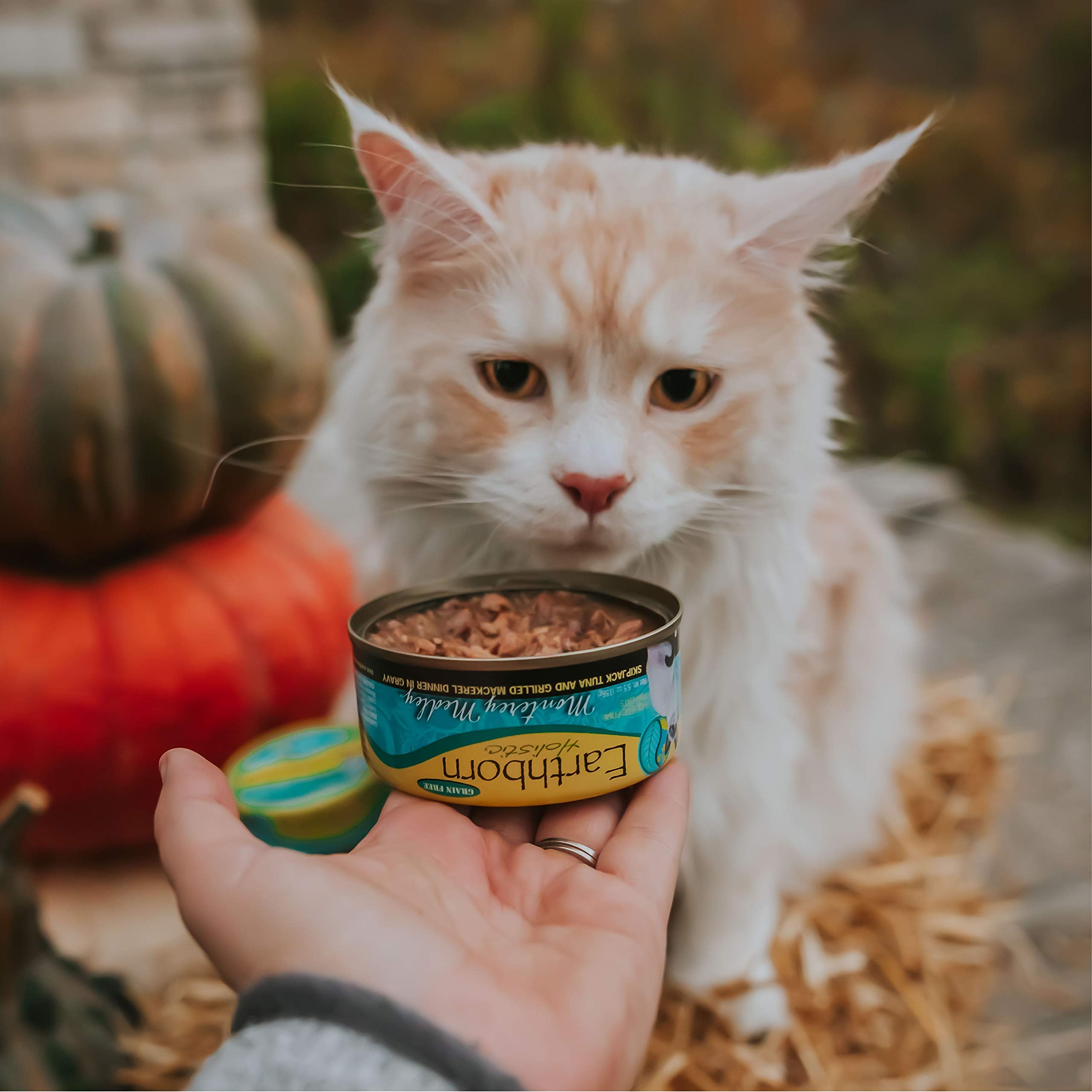 Earthborn Holistic Monterey Medley: complemento sabroso para mezclar con la comida de tu gato.