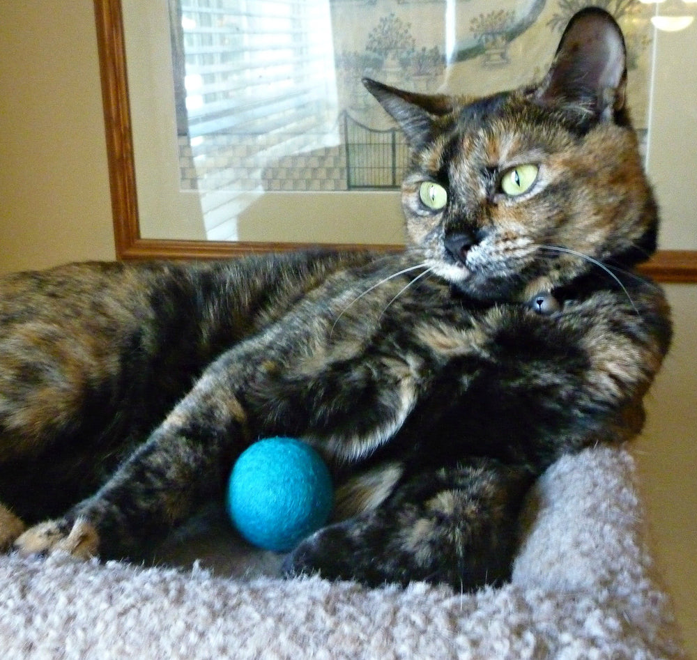 Bola de gato Earthtone Solutions para interiores, juego suave y diversión diaria.