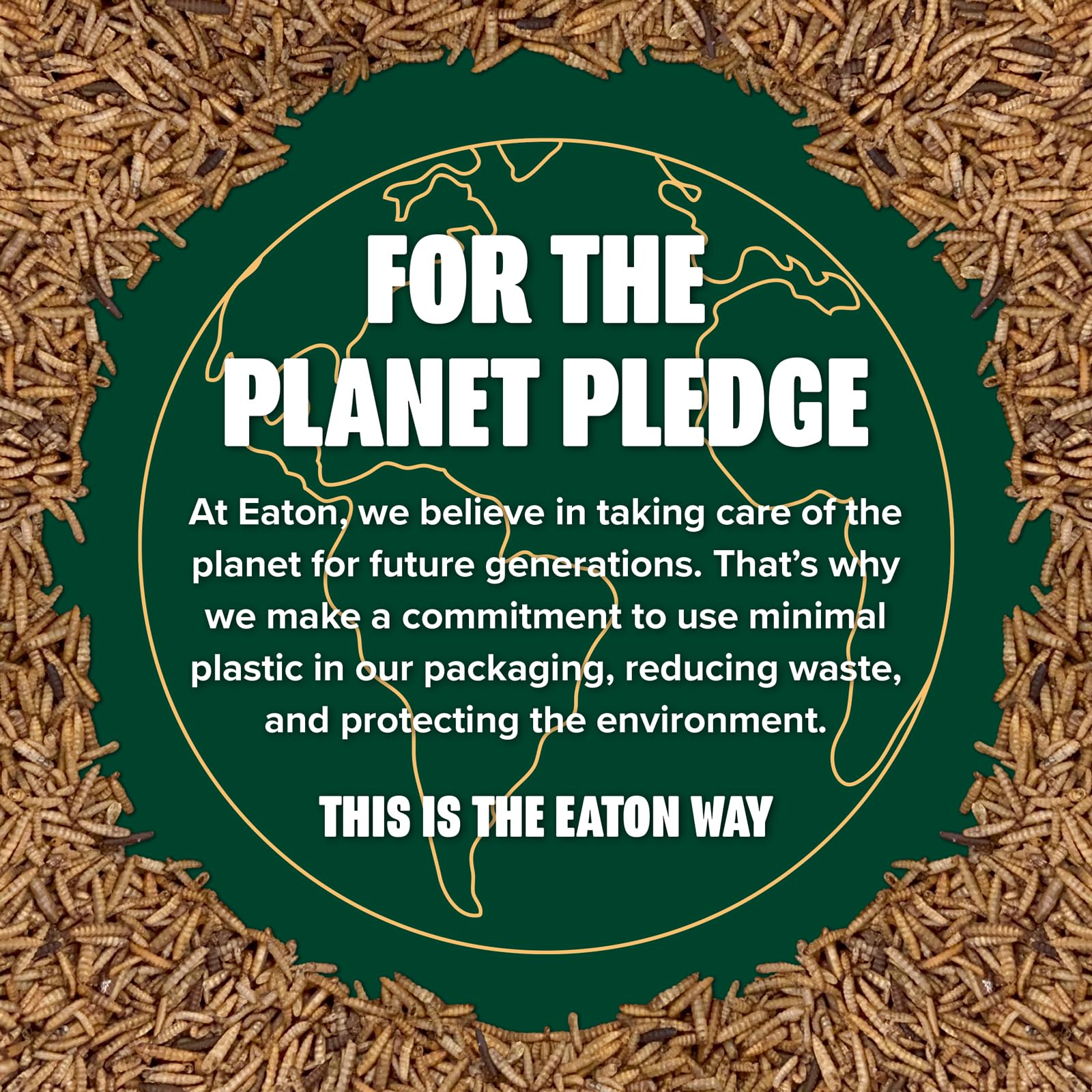 Eaton Pet and Pasture: ideal para mejorar la alimentación durante la muda.