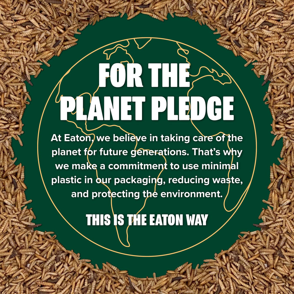Eaton Pet and Pasture: ideal para mejorar la alimentación durante la muda.