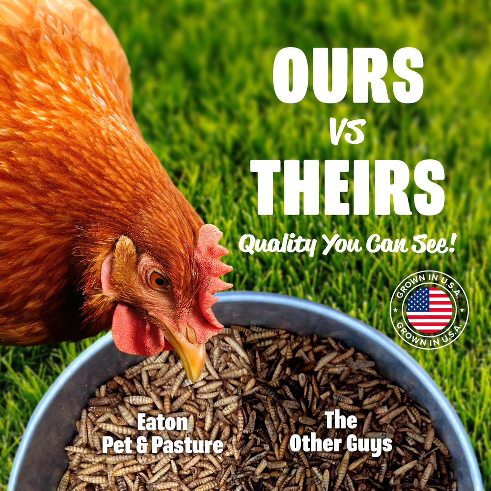 Eaton Pet and Pasture: para patos, fuente de proteína y calcio.
