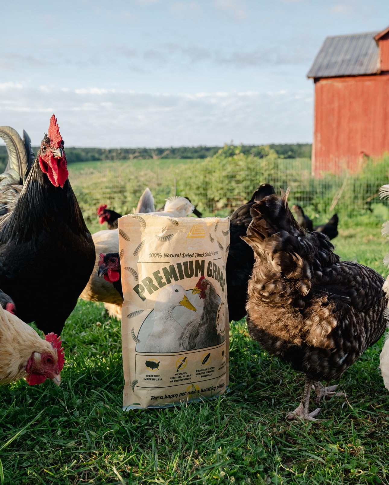 Eaton Pet and Pasture envase seguro, conservando frescura y nutrientes.