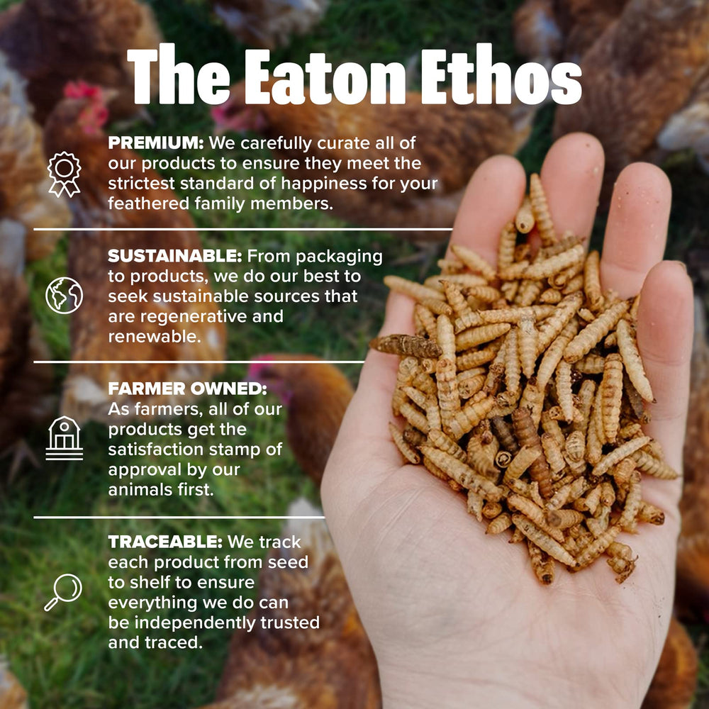 Eaton Pet and Pasture textura vista cercana, grubs crujientes para aves curiosas.