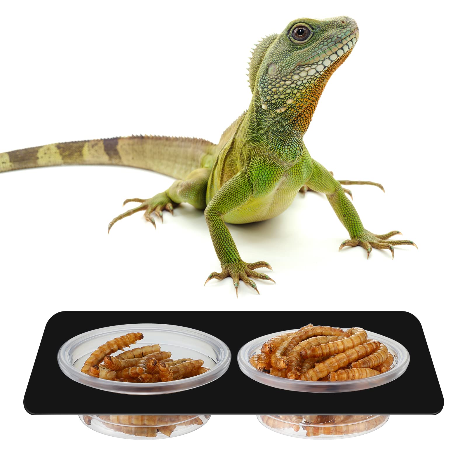 Tazas EBOOT para geckos y lagartos, diseño compacto.