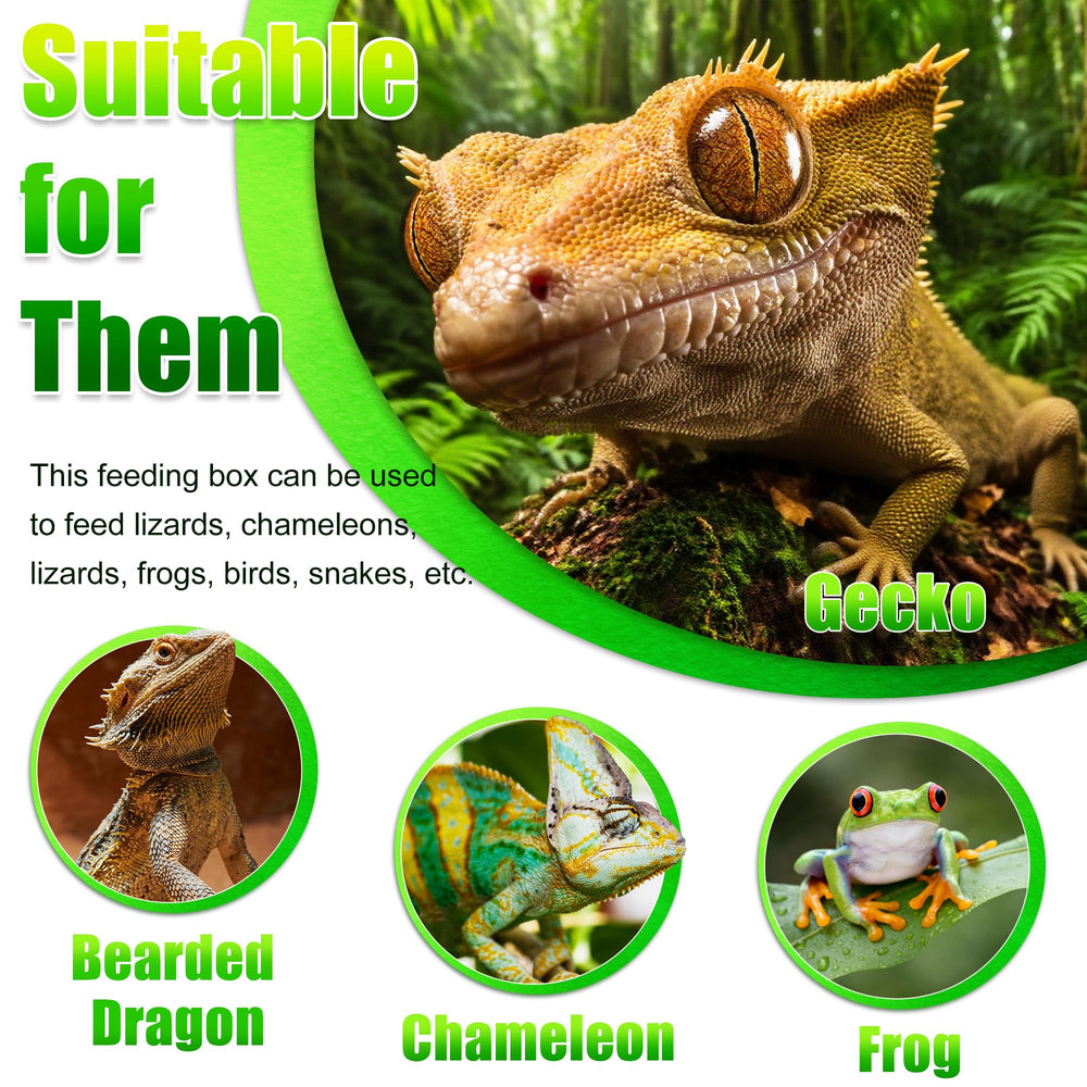 Uso en terrario Eckpo para reptiles, paludario o vivario