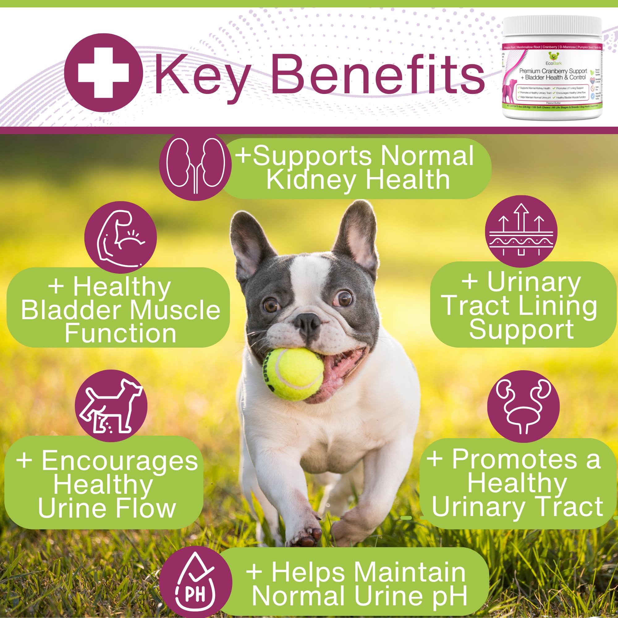 EcoBark golosinas masticables de arándano para perros, apoyo potencial a la salud urinaria