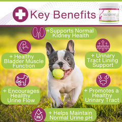EcoBark golosinas masticables de arándano para perros, apoyo potencial a la salud urinaria
