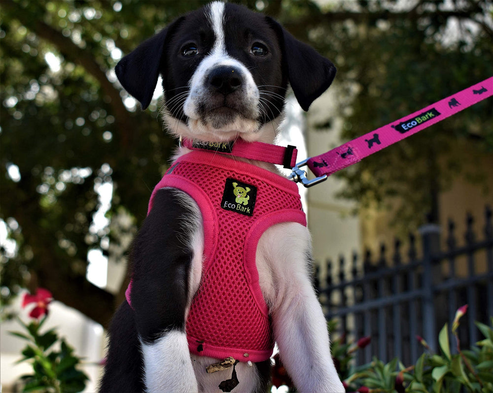 EcoBark arnés de paso rosa XS, ideal para parques, fácil de poner y quitar.