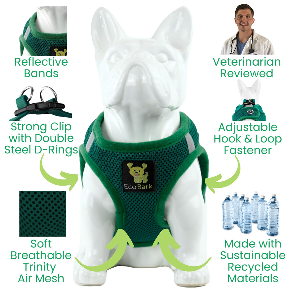 Harnais EcoBark avec maintien dos et torse doux et sûr.