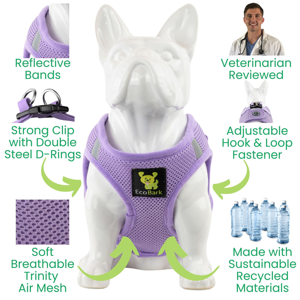 Harnais EcoBark sécurité renforcée avec boucle robuste.