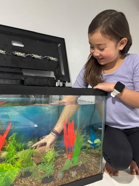 EcoBio-Block Piedra Acuario Nano: tamaño nano para acuarios pequeños.