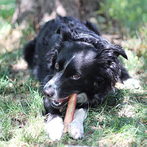 EcoKind Palitos aptos para todas las razas: ideal para perros grandes y pequeños.