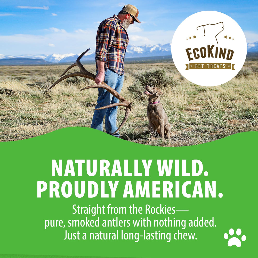 EcoKind Uso diario para perros extragrandes ayuda a mantener el interés y la actividad.