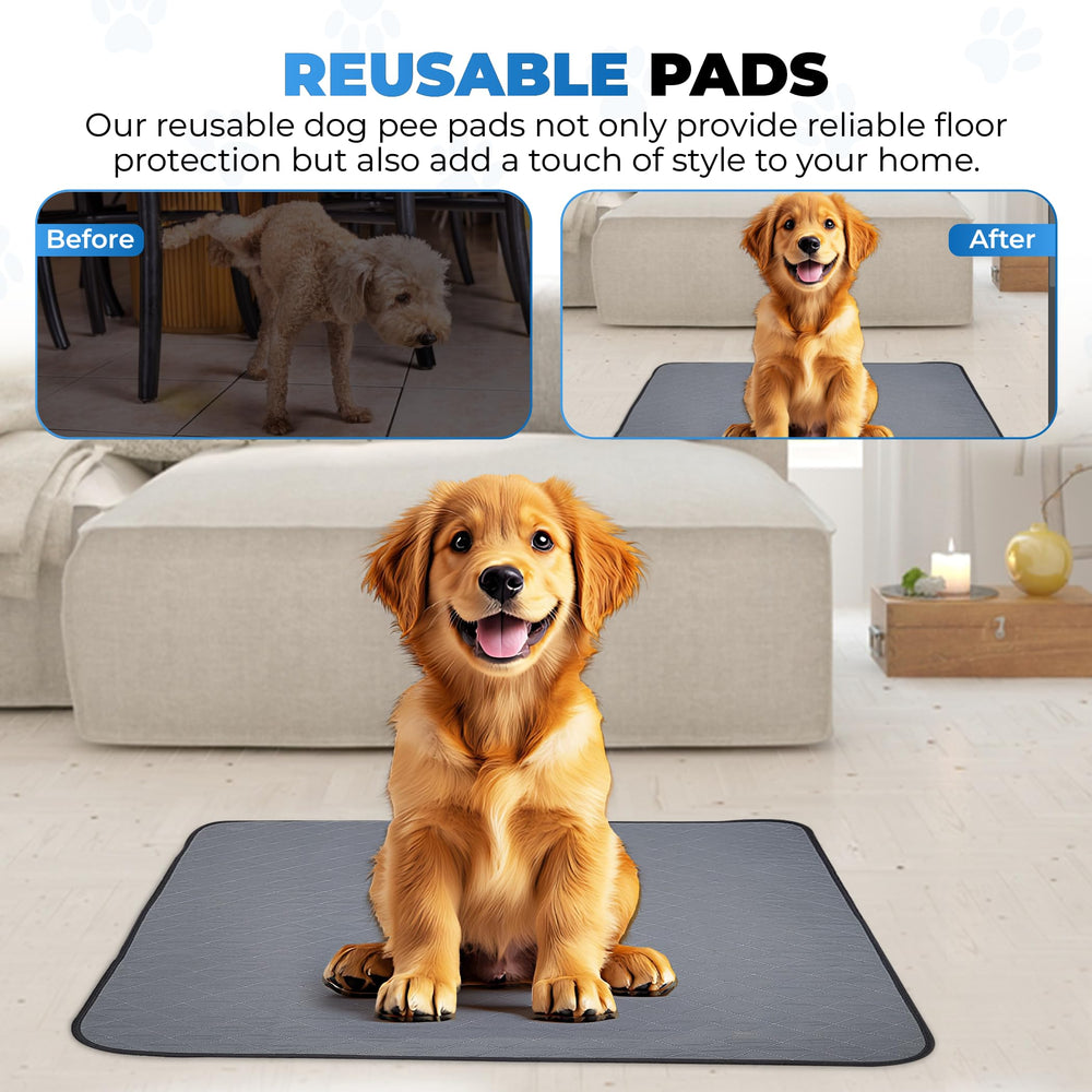 EcoLoo Pad: uso versátil para casa o coche, entrenamiento y protección de muebles.