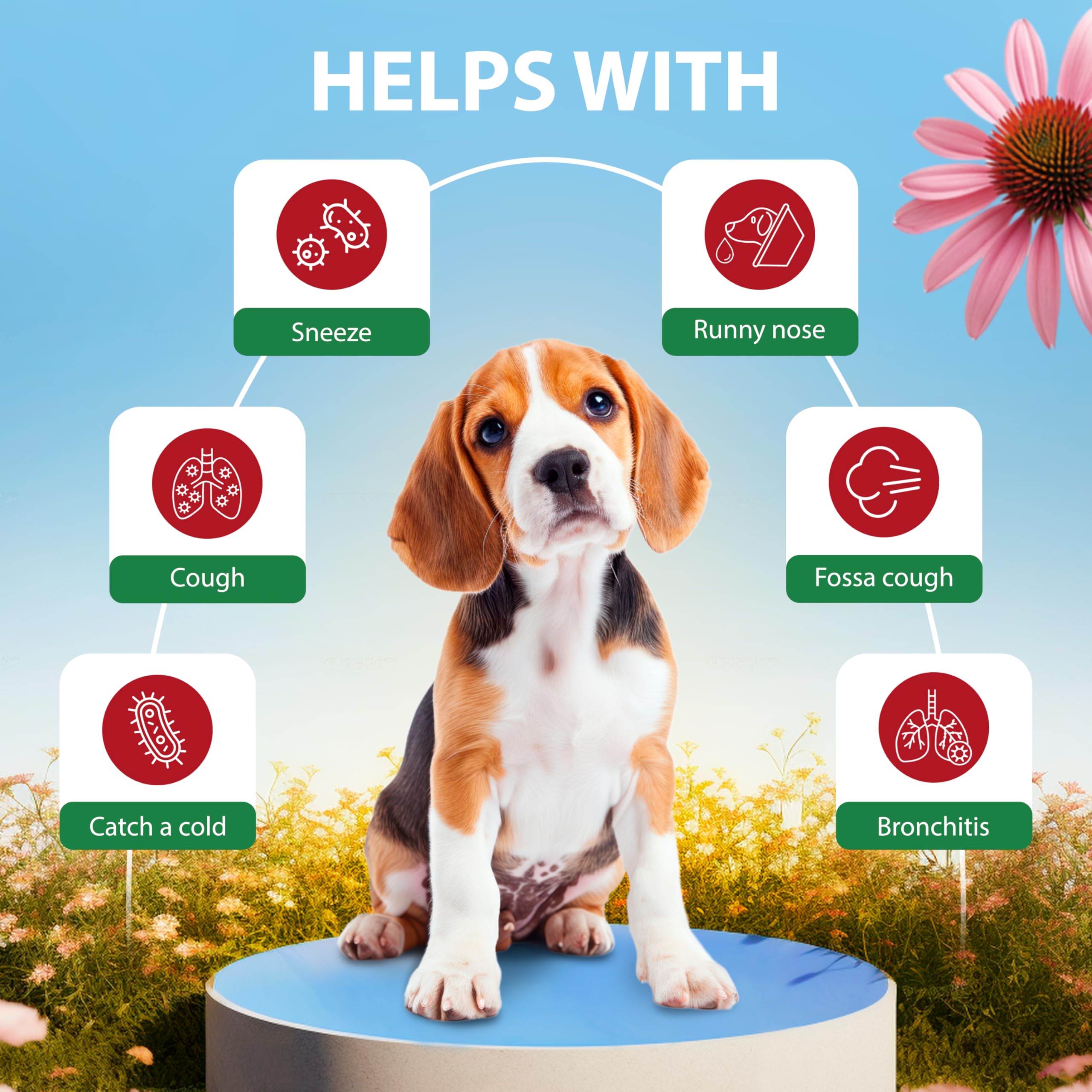 EDUZEBRA para todas las edades, perros y gatos.