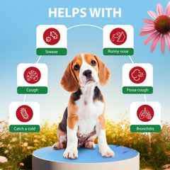 EDUZEBRA para todas las edades, perros y gatos.