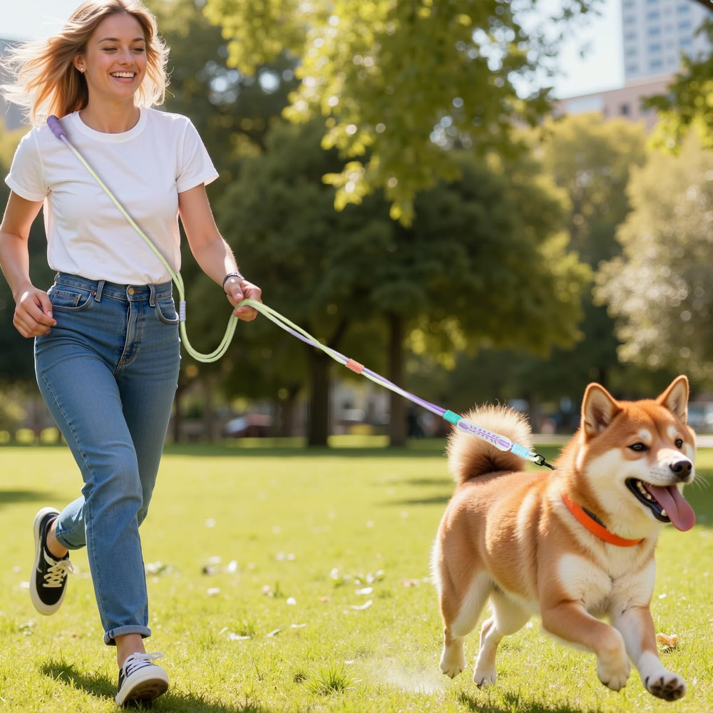 EffiBrill entrenamiento y caminata con perros grandes