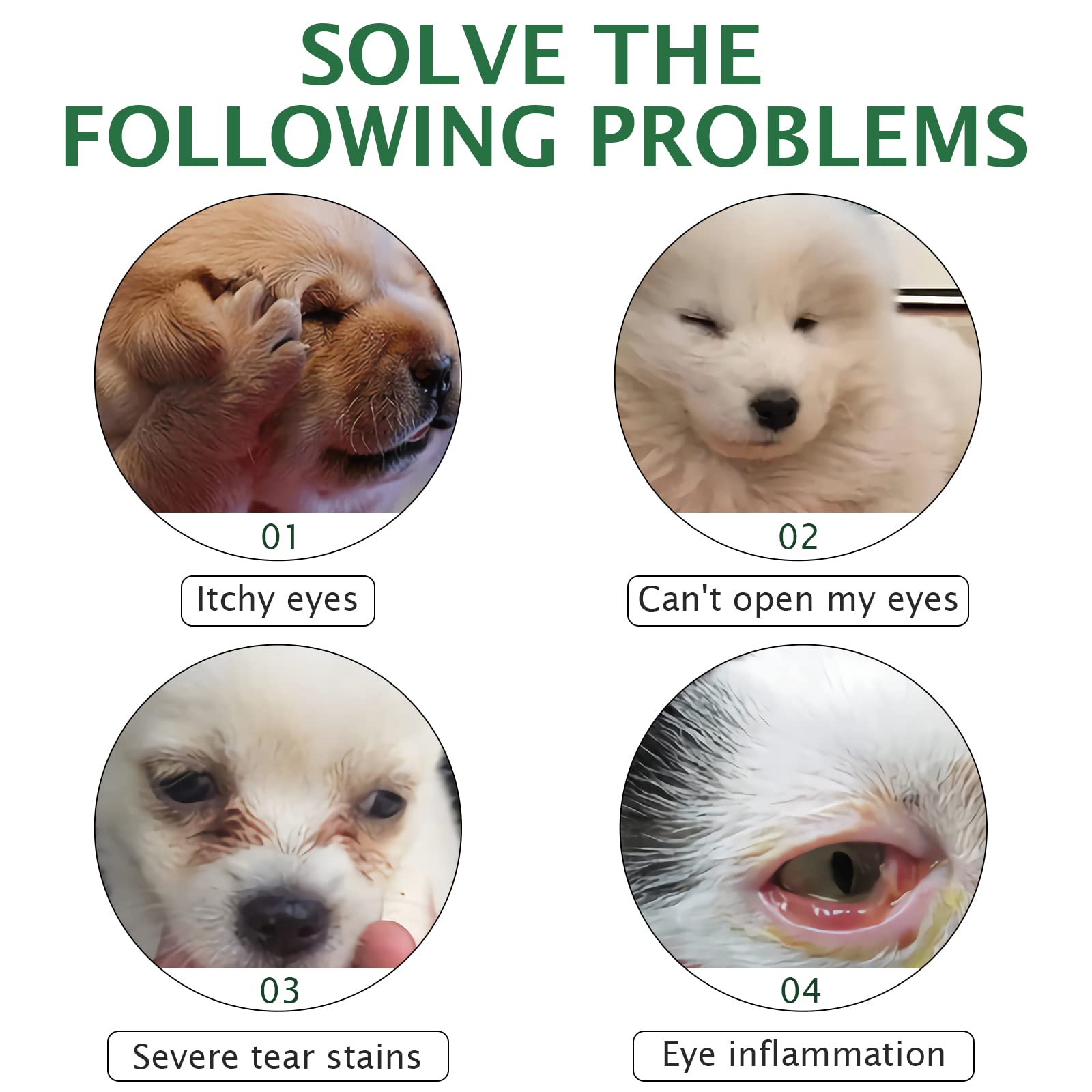 Claridad ocular mejorada para perros y gatos con Elaimei.