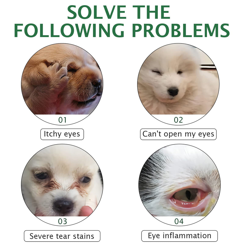 Claridad ocular mejorada para perros y gatos con Elaimei.
