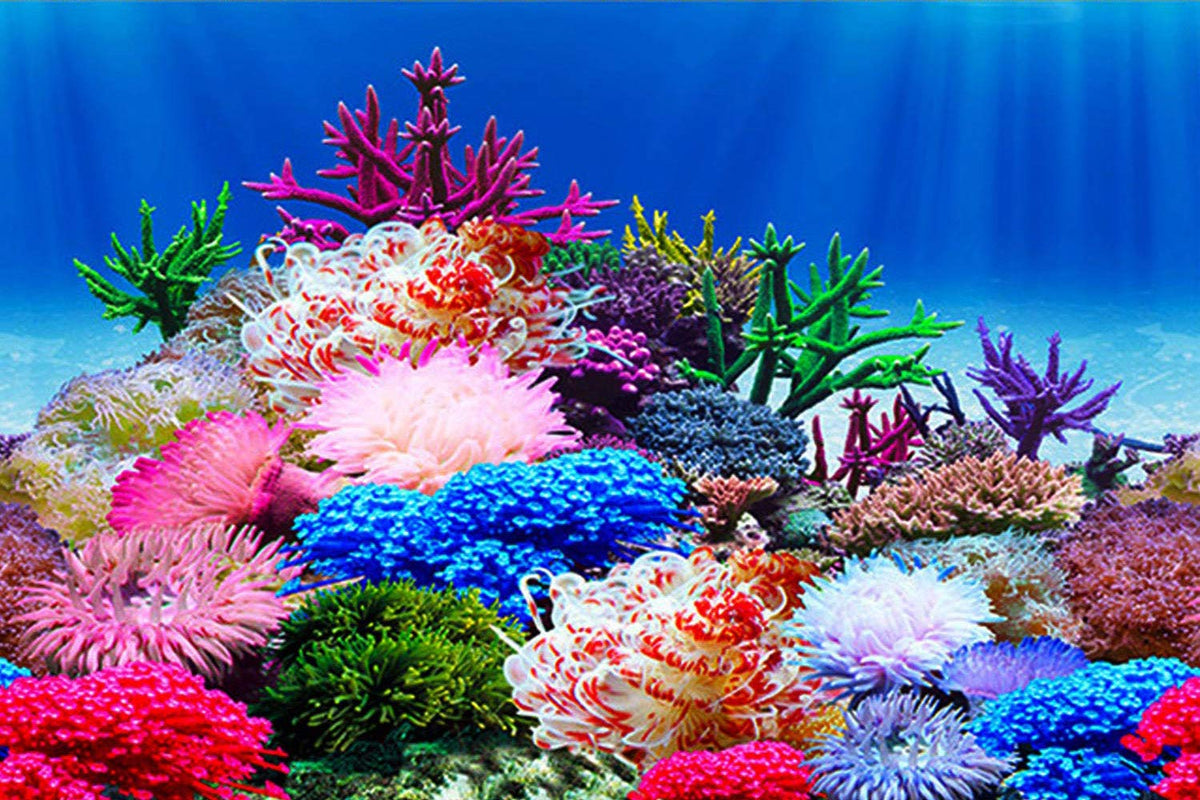 Fondo de acuario ELEBOX de doble cara para ocultar caños y mejorar la apariencia