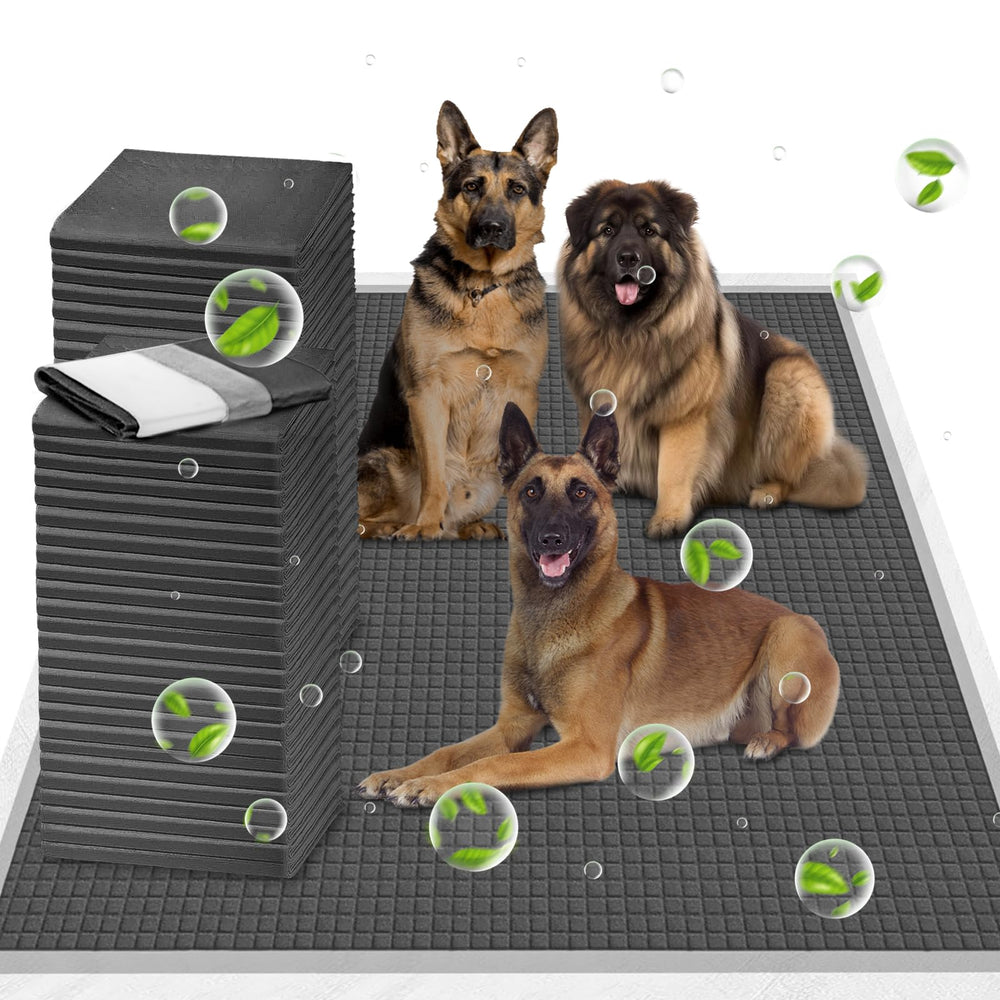 Almohadilla de entrenamiento ELEGX XXL desplegada para perros grandes y cobertura amplia.