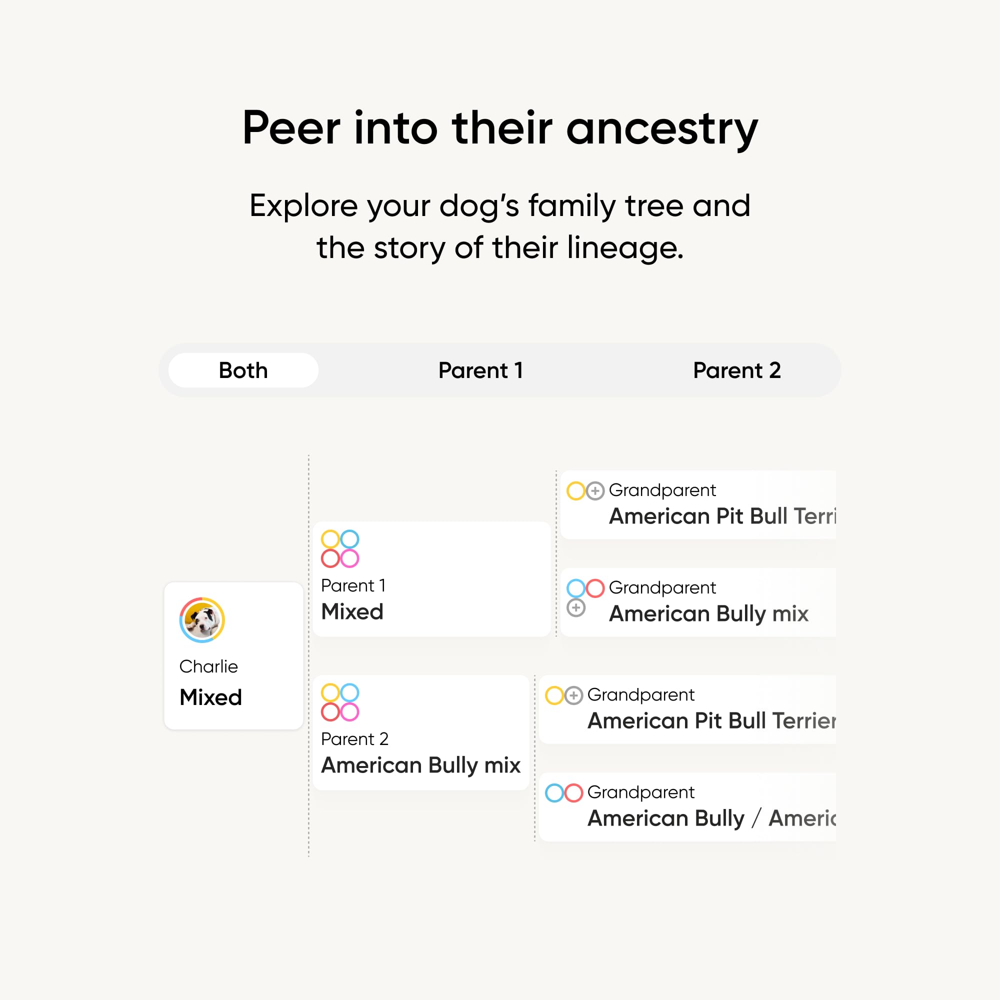 Embark arbol-ancestral-genetico: visualización de rutas de ancestros alrededor del mundo