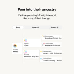 Embark arbol-ancestral-genetico: visualización de rutas de ancestros alrededor del mundo