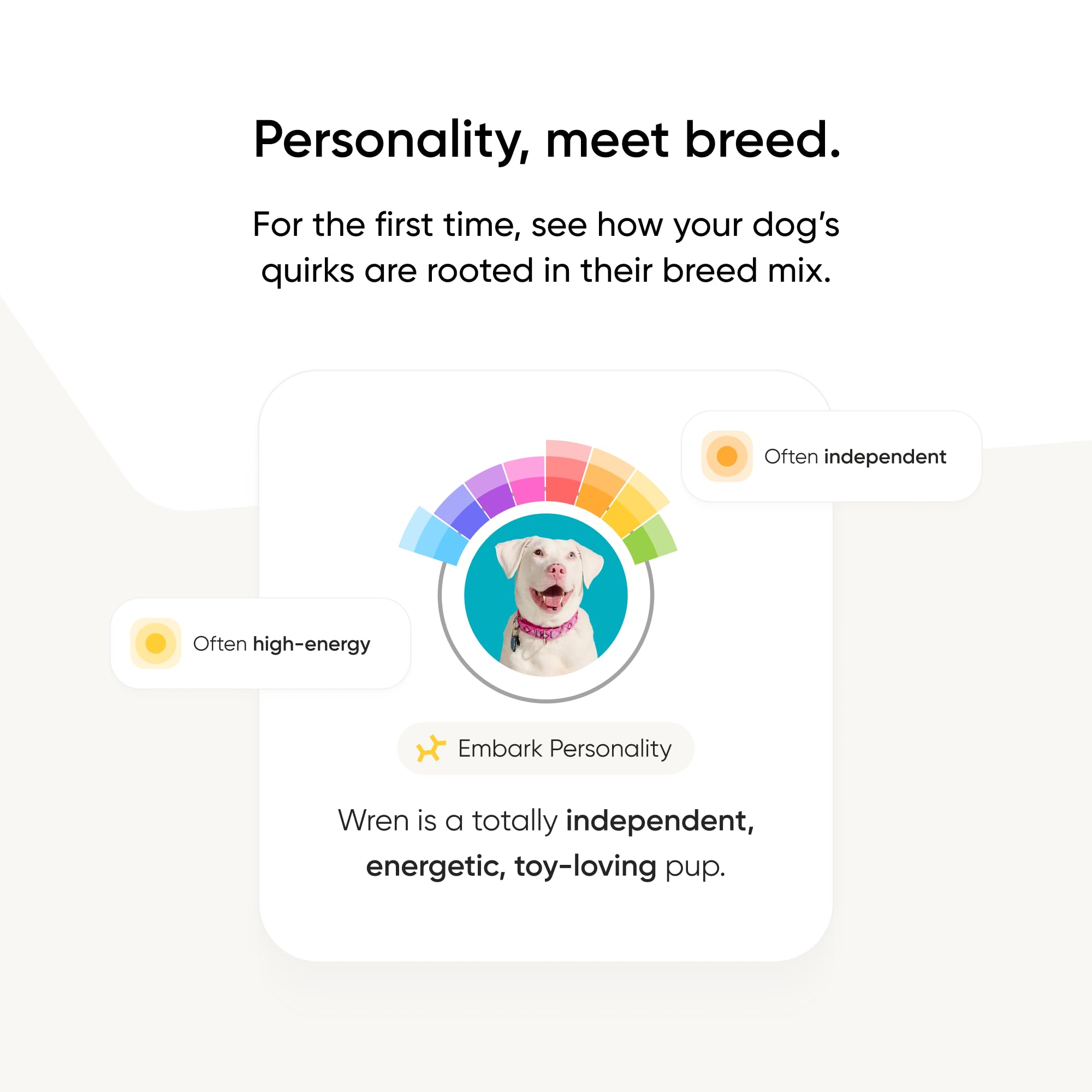 Embark cuestionario-personalidad-resultados: revela rasgos únicos y posibles impulsos heredados