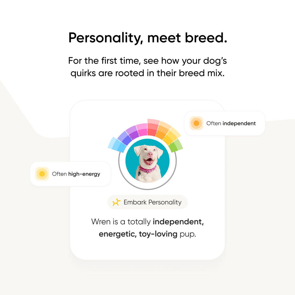 Embark cuestionario-personalidad-resultados: revela rasgos únicos y posibles impulsos heredados
