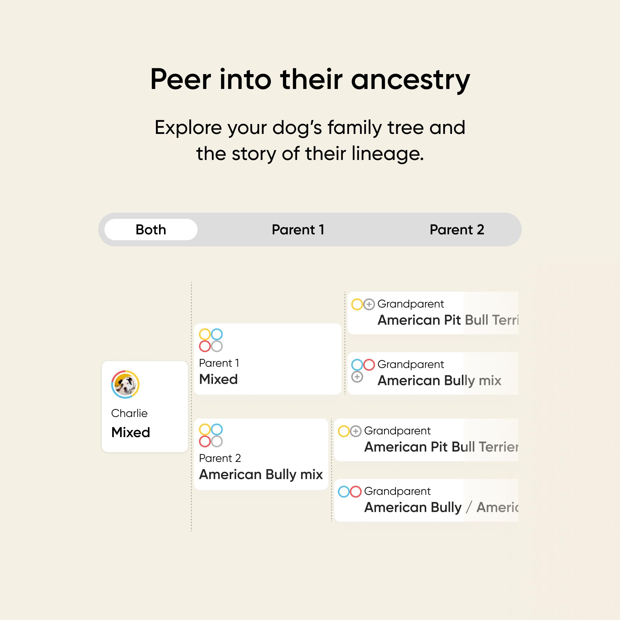 Embark Kit ADN para perros: identificación de razas con claridad y precisión