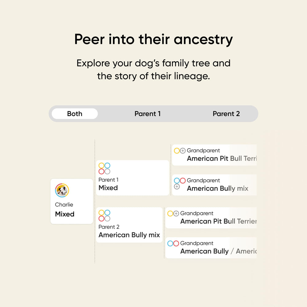 Embark Kit ADN para perros: identificación de razas con claridad y precisión
