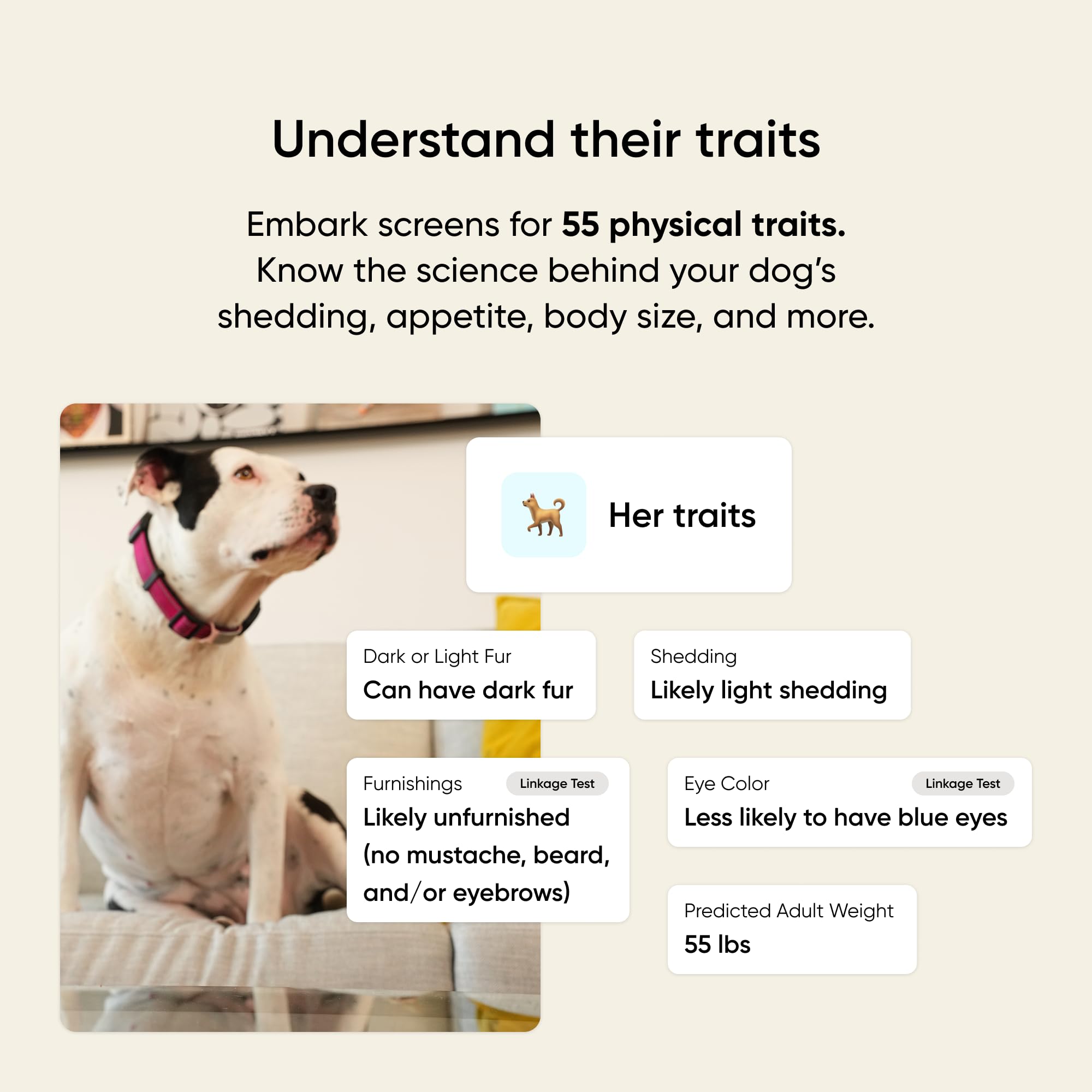 Embark Kit ADN para perros: proceso de prueba sencillo y seguro para casa