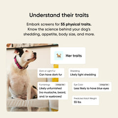 Embark Kit ADN para perros: proceso de prueba sencillo y seguro para casa