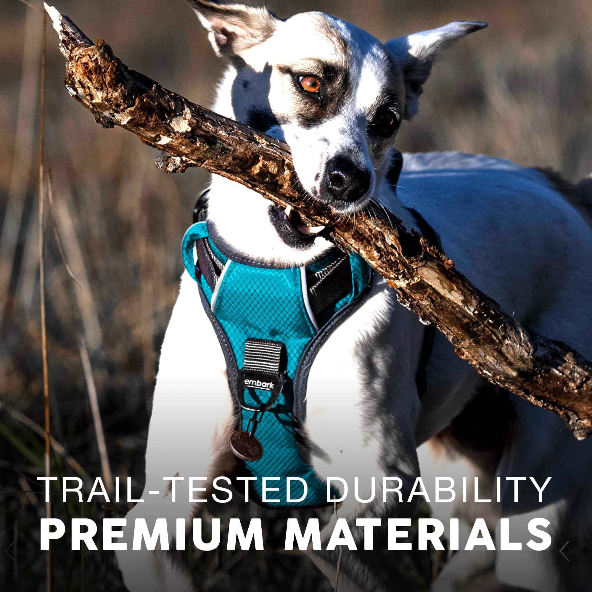 Embark Pets arnés aventura correas ajustables para ajuste cómodo