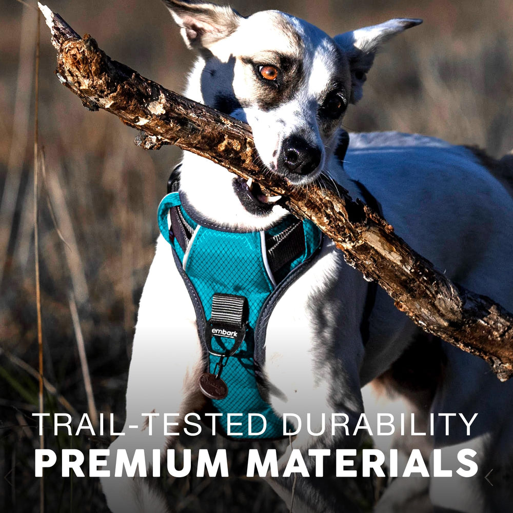 Embark Pets arnés aventura correas ajustables para ajuste cómodo