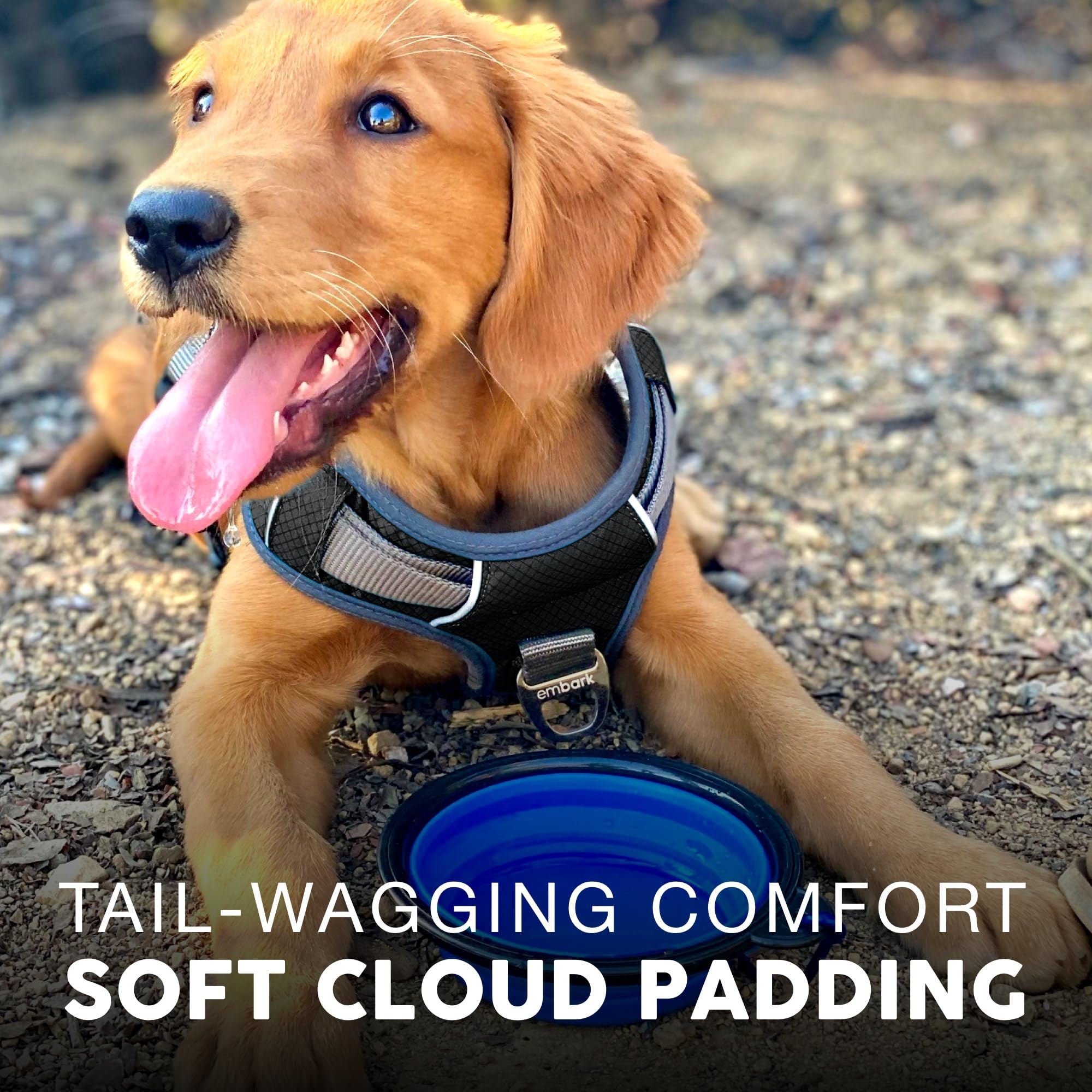 Diseño ligero y transpirable del arnés Embark Pets para paseos largos.