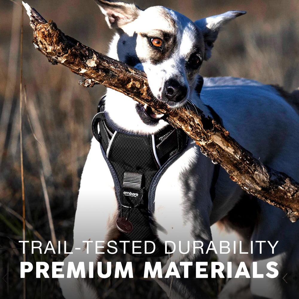 Enganches frontal y trasero para opciones de entrenamiento en Embark Pets.